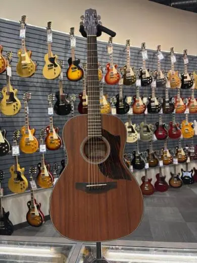 Store Special Product - Takamine - GY11ME-NS